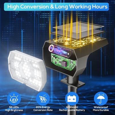 Solar lights outdoor